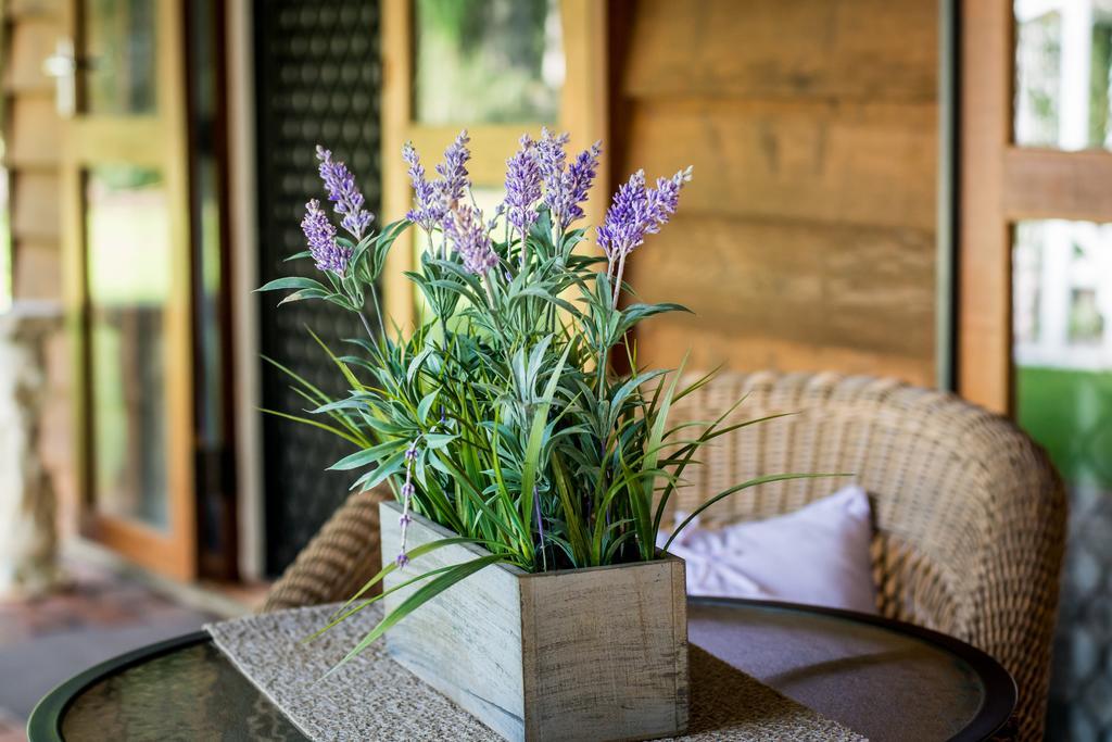 Ronday-Voo Bed And Breakfast Speewah Zewnętrze zdjęcie